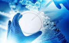 耐材是新密工業(yè)支柱